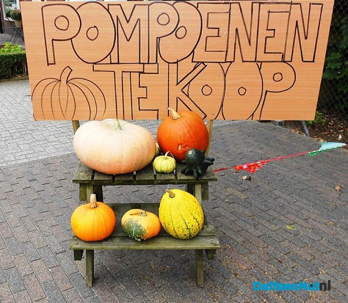 Pompoenen te koop