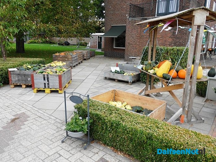 Pompoenen te koop