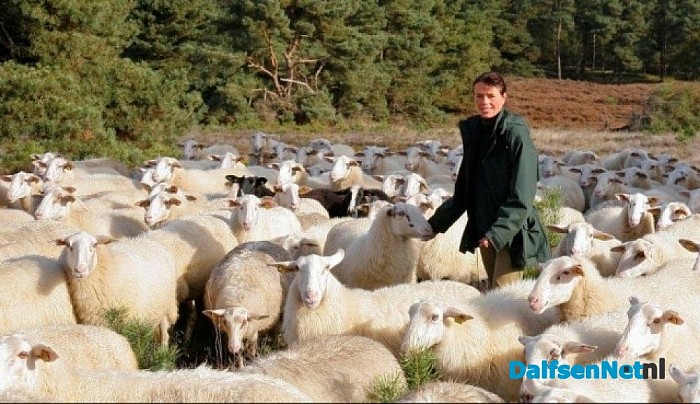 Op stap met de schaapherder op de Lemelerberg
