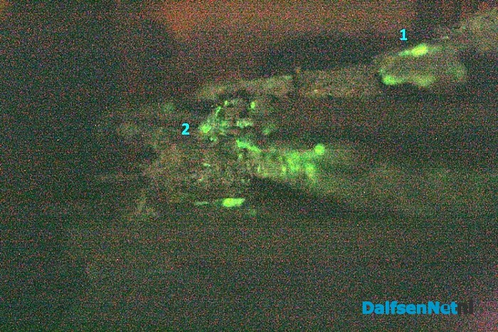 Lichtgevende planken