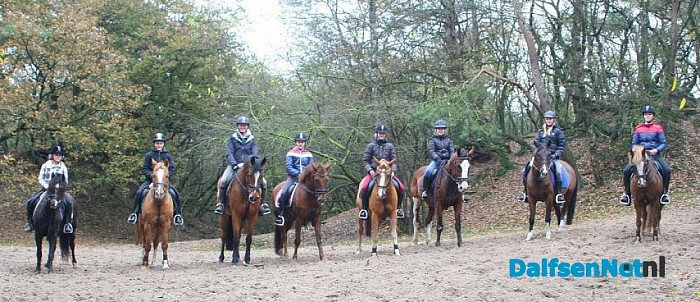 Ponyclub Dalfsen e.o.