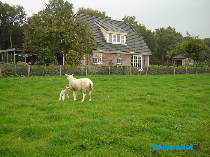 Verrassing in September