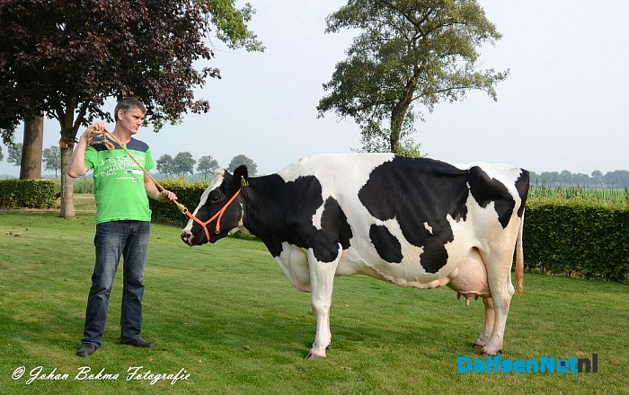 Huldiging 100.000 liter koe. - Foto: Johan Bokma