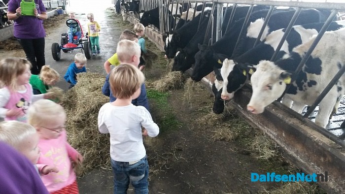 Dierendag Partou kinderopvang Lemelerveld
