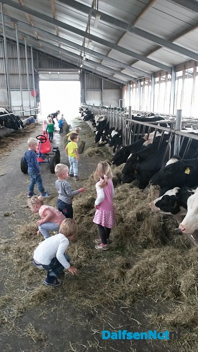 Dierendag Partou kinderopvang Lemelerveld