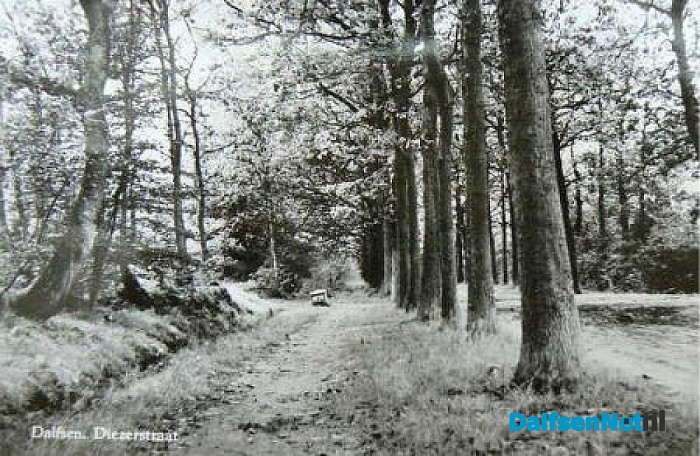 Ingezonden oude foto’s