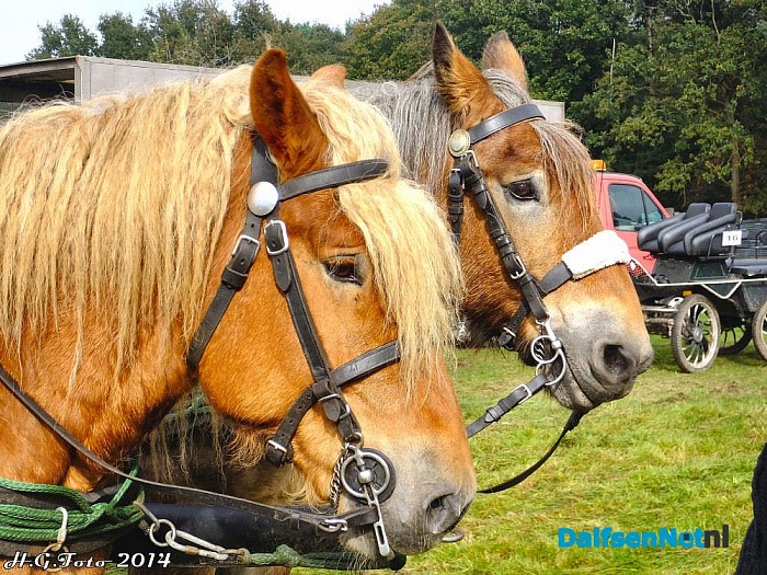 Men rally bij de Hammer Hoeve. - Foto: H.G. Foto