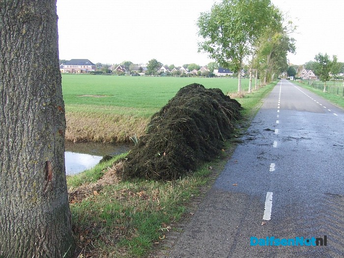 Najaars maaibeurt in de Marswetering