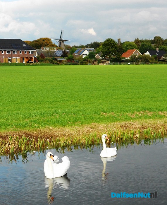 Rustig vaarwater in Hoonhorst