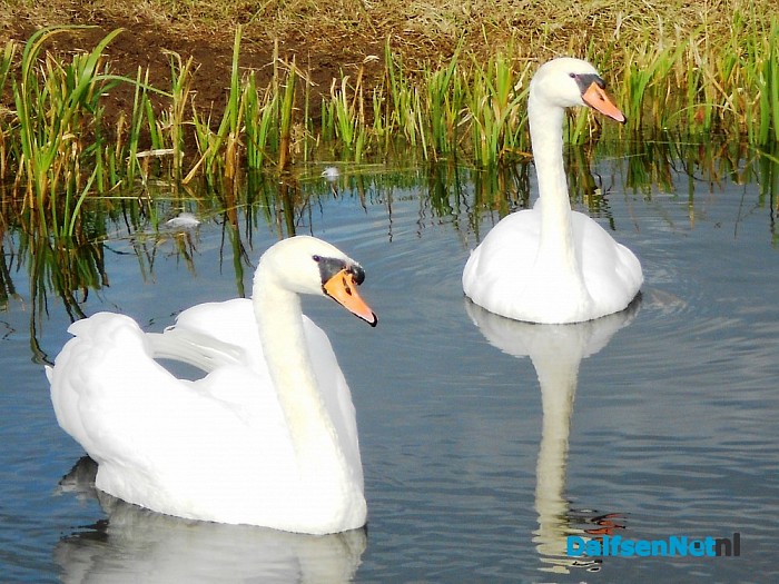 Rustig vaarwater in Hoonhorst