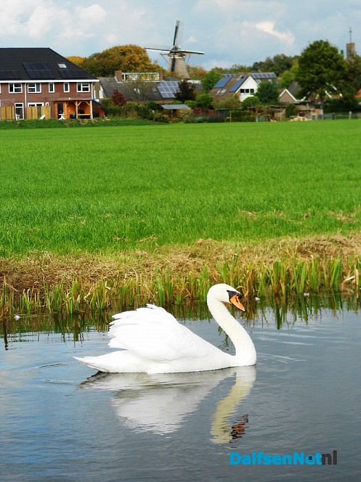 Rustig vaarwater in Hoonhorst