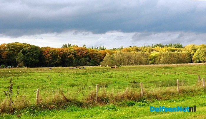 Herfst in Dalfsen