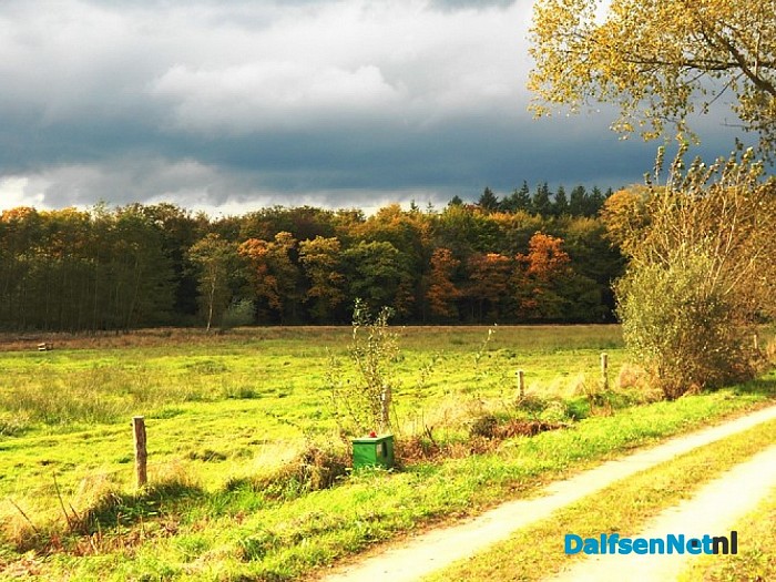 Herfst in Dalfsen