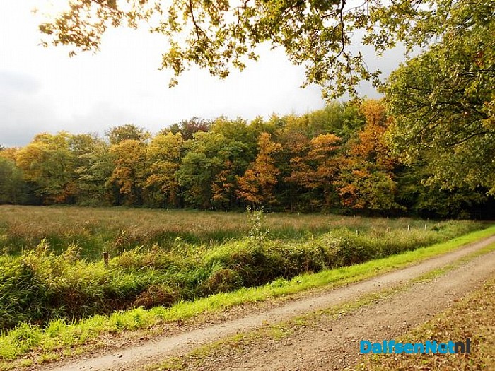 Herfst in Dalfsen