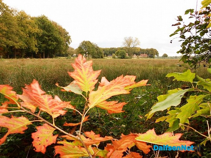Herfst in Dalfsen