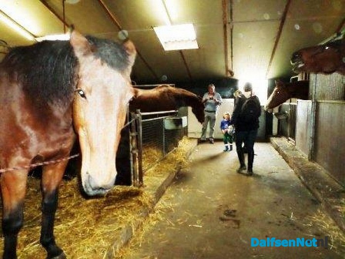 Rommelmarkt `t Olde Manegepeerd