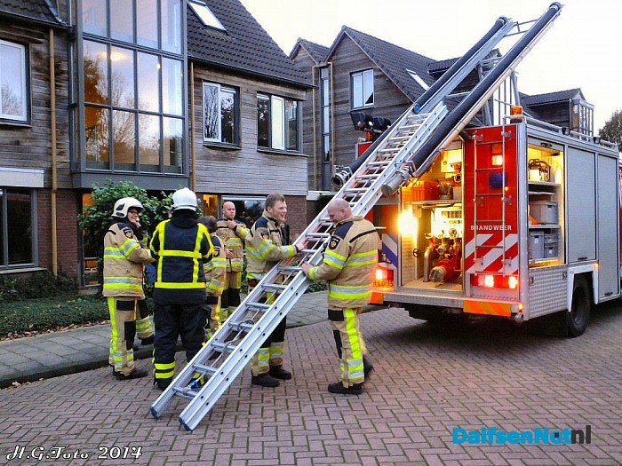 Kat laat zich niet pakken. - Foto: H.G. Foto