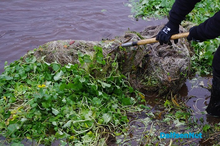 Waterschap verwijdert woekerplant uit de Vecht