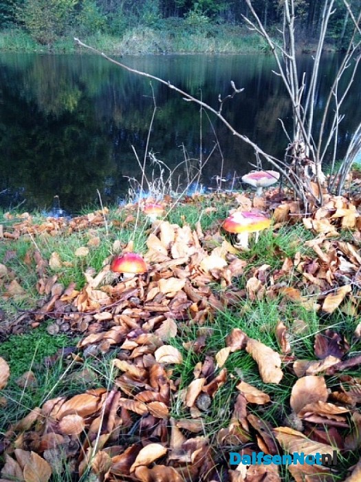 Ingezonden herfstfoto’s