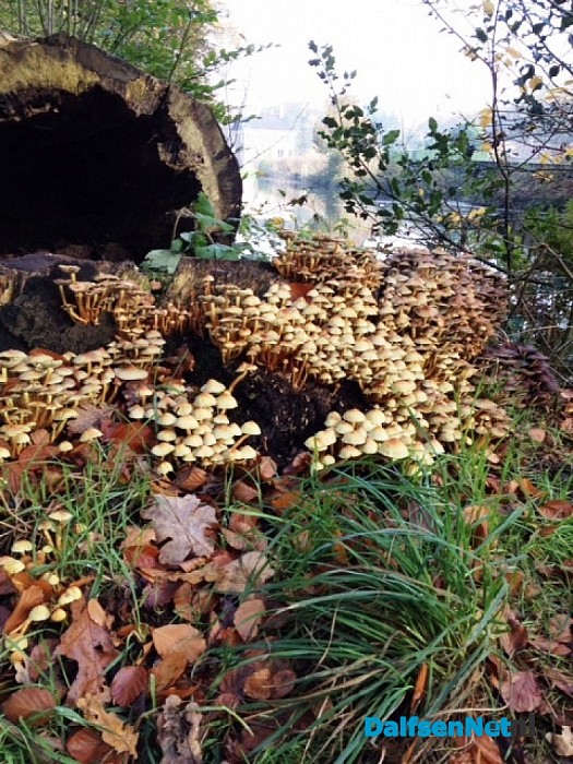 Ingezonden herfstfoto’s