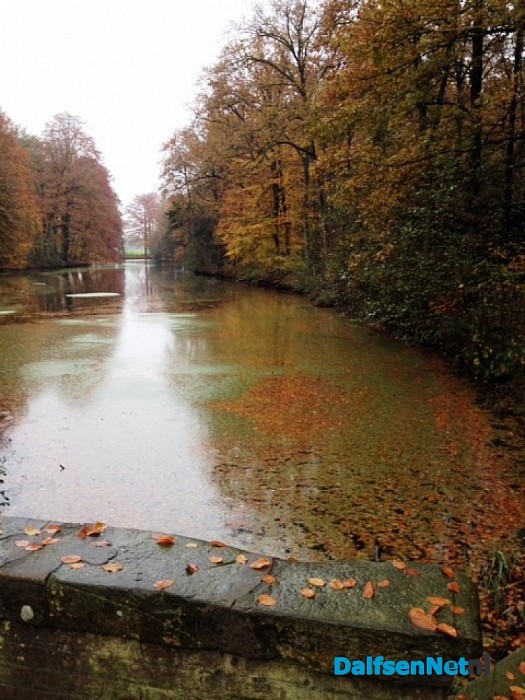 Natte zondag in het bos