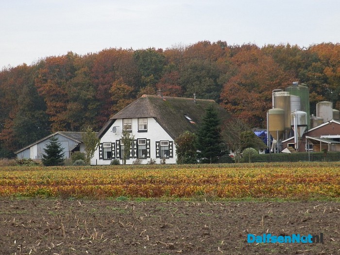 De Molenhoek in Hoonhorst kent een rijke geschiedenis