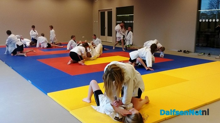 Schooljudo plezier voor Dalfser basisscholen