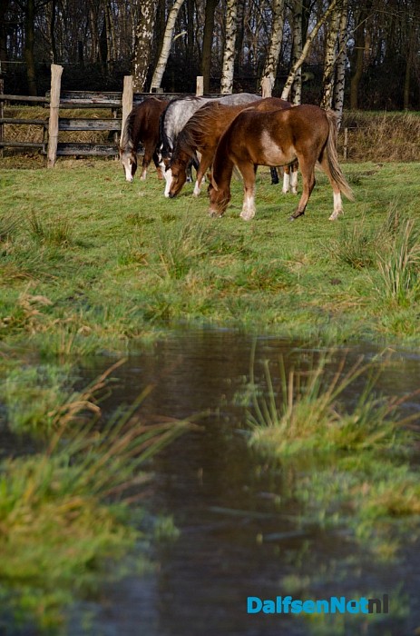 Wassend water en toch (nog) droge voeten