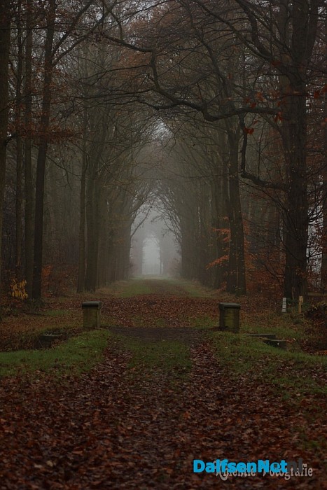 Dalfsen in de mist