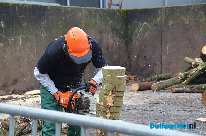 Vanaf 1 januari begint de stichting Dalfsen Werkt - Foto: Ingrid Zenderink