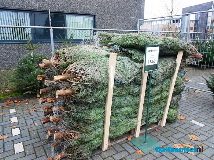 Kerstboomverkopers zijn er (bijna) klaar voor