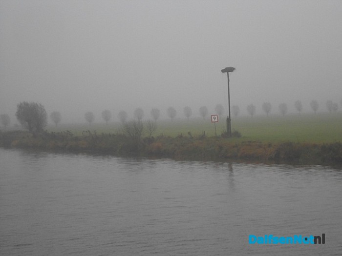 Mist