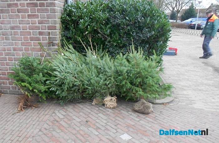 Kerstbomenhandelaren: inpakken en wegwezen