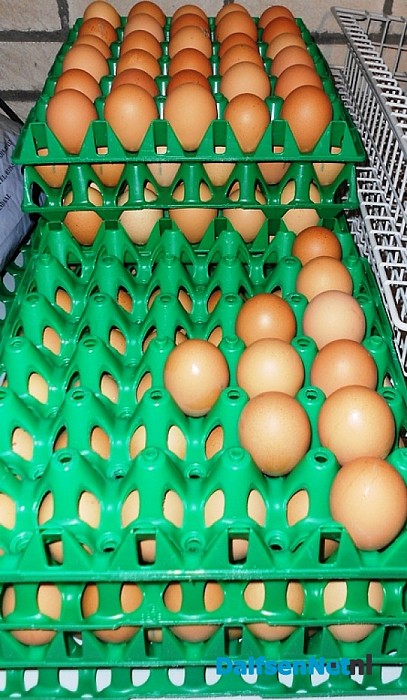 Ook dit jaar weer oliebollen voor hulp Oost Europa
