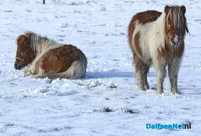 Ingezonden sneeuwfoto’s (update met heel veel mooie foto’s!)