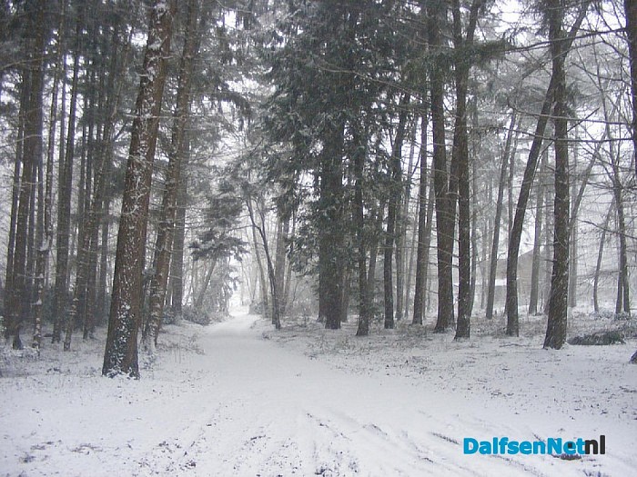 Een witte deken in Dalfsen, heeft u mooie foto’s? - Foto: Robert Bril