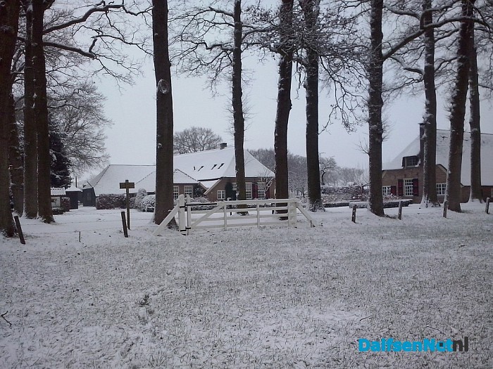 Ingezonden sneeuwfoto’s (update met heel veel mooie foto’s!)