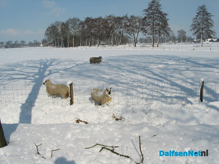 Ingezonden sneeuwfoto’s (update met heel veel mooie foto’s!)