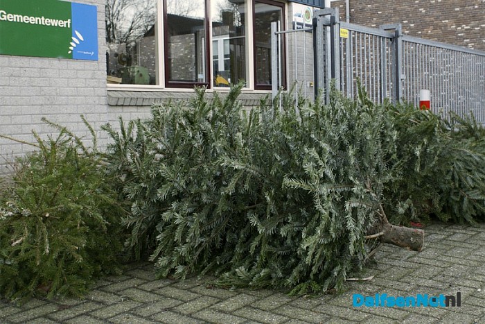 kerstbomen inleveren