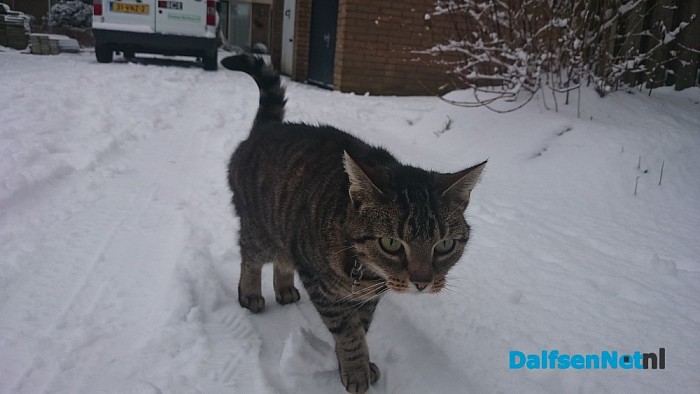 Ingezonden sneeuwfoto’s (update met heel veel mooie foto’s!)