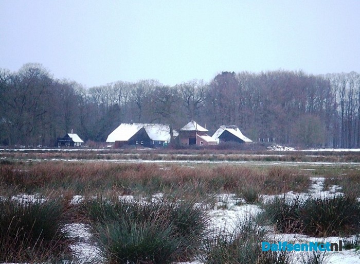 Ochtendgloren 25 januari 2015
