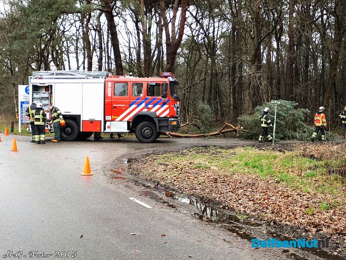 Schade door de wind valt tot nu toe mee. - Foto: H.G. Foto