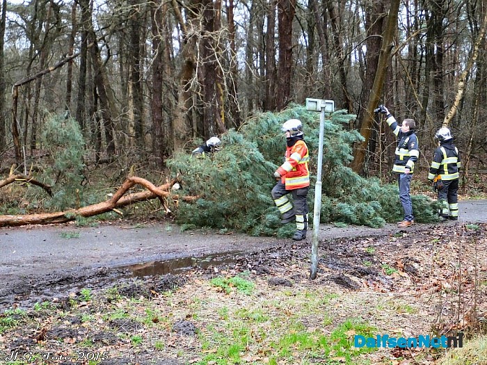 Schade door de wind valt tot nu toe mee. - Foto: H.G. Foto
