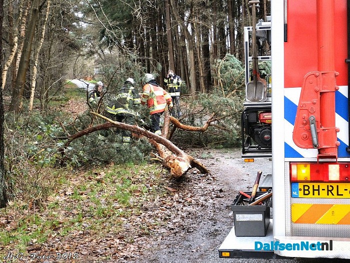 Schade door de wind valt tot nu toe mee. - Foto: H.G. Foto