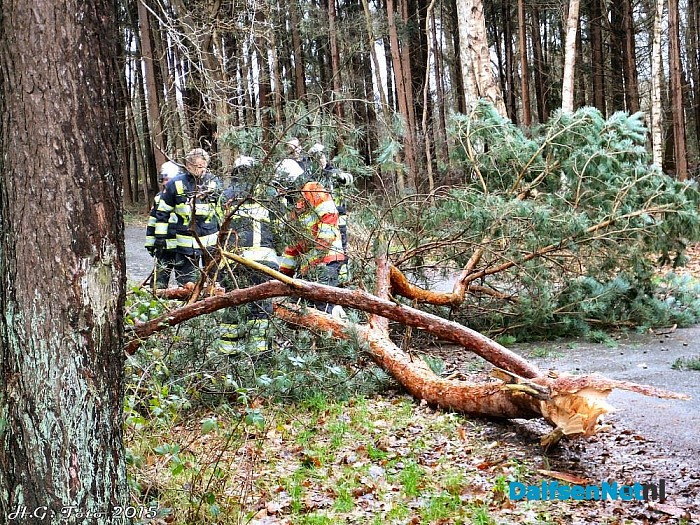 Schade door de wind valt tot nu toe mee. - Foto: H.G. Foto