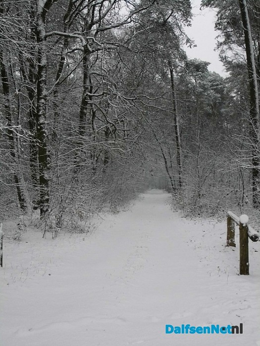 Ingezonden sneeuwfoto’s (update met heel veel mooie foto’s!)