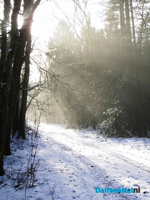 Vervolg prachtige sneeuwplaatjes