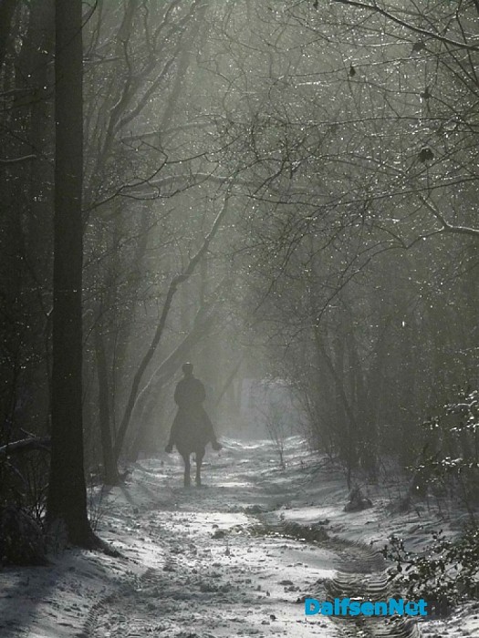 Vervolg prachtige sneeuwplaatjes