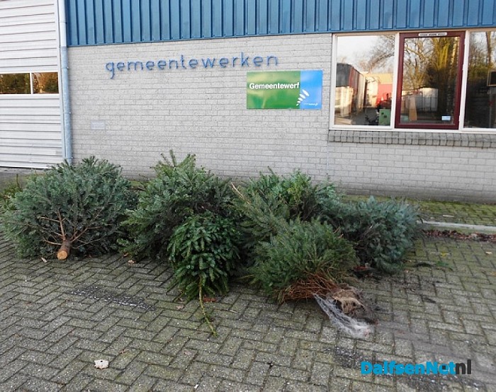 Hier gaat kerstboom nummer 15