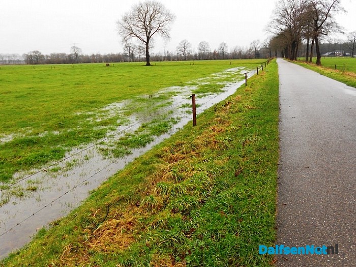 Veel van het goede